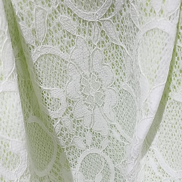 MUSTARD SEED LIGHT GREEN SKIRT W WHITE LACE OVERLAY PLEATED MINI FAIRY WHIMSICAL - Picture 2 of 8